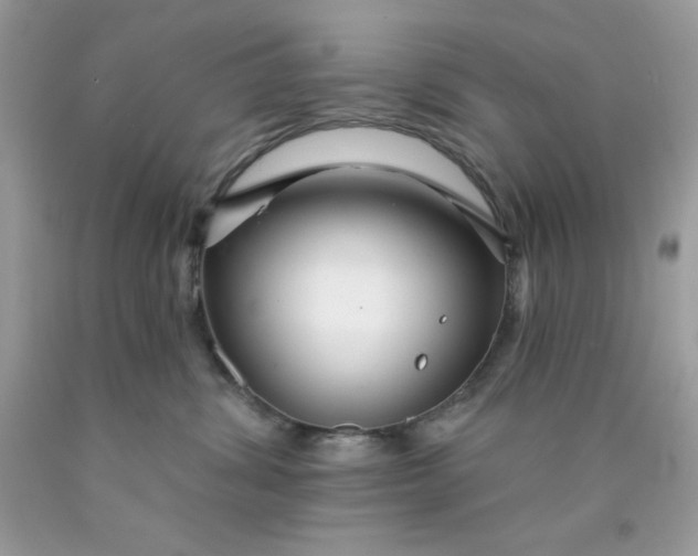 X0000089940428200707201907