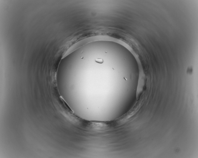 X0000089940429200707201907