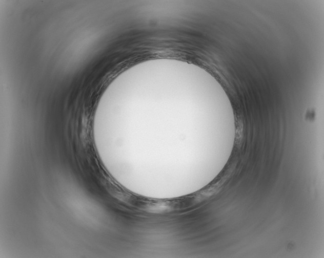 X0000089940430200707201907