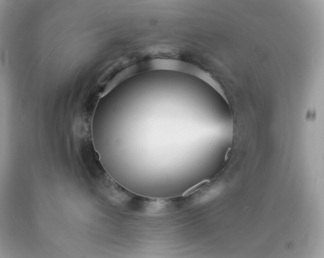 X0000089940432200707201907