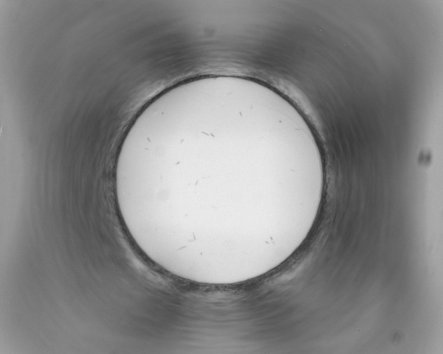 X0000089940433200707201907