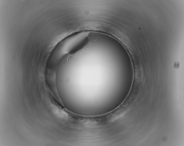 X0000089940434200707201907