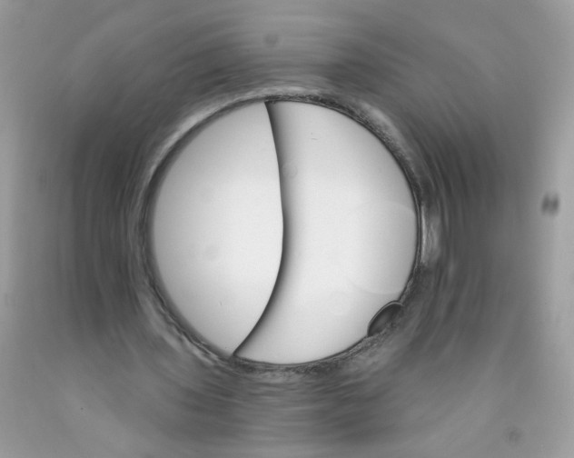 X0000089940435200707201907