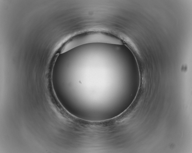 X0000089940436200707201907