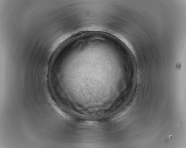 X0000089940437200707201907