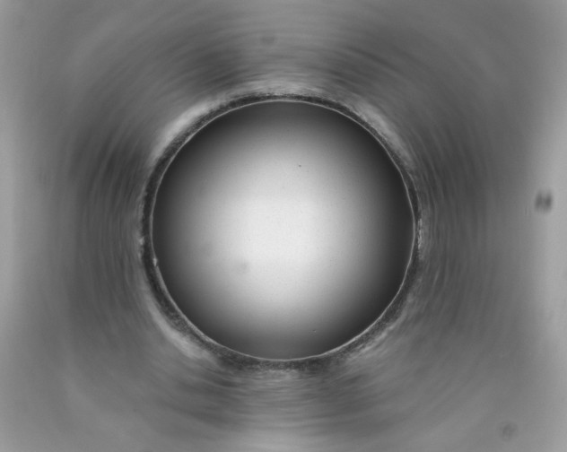 X0000089940438200707201907