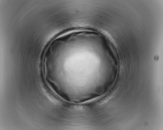 X0000089940439200707201907