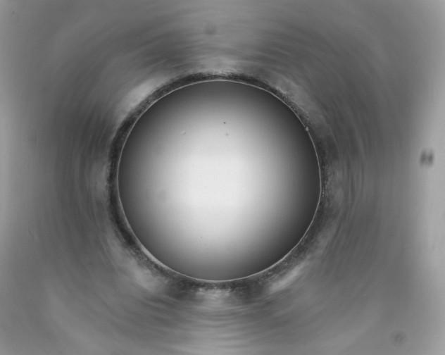 X0000089940440200707201907