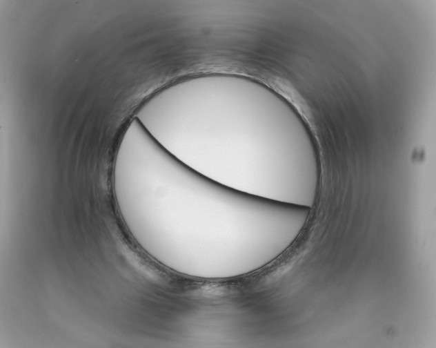 X0000089940441200707201907