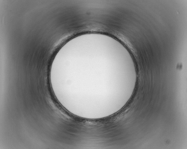 X0000089940442200707201907