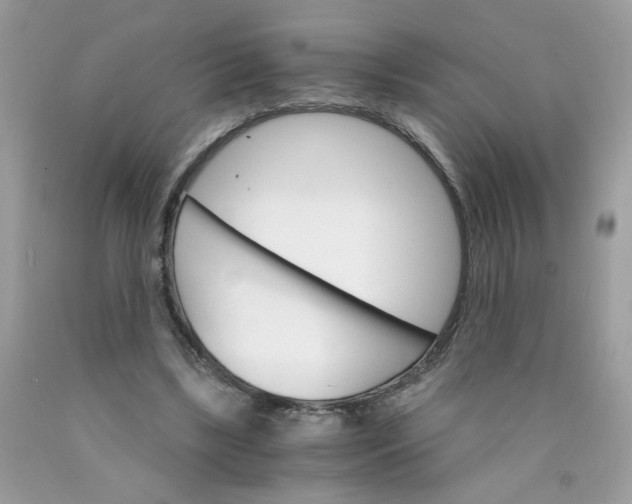 X0000089940443200707201907