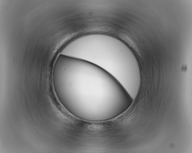 X0000089940444200707201907