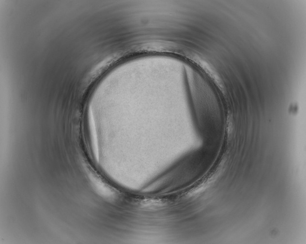 X0000089940445200707201907