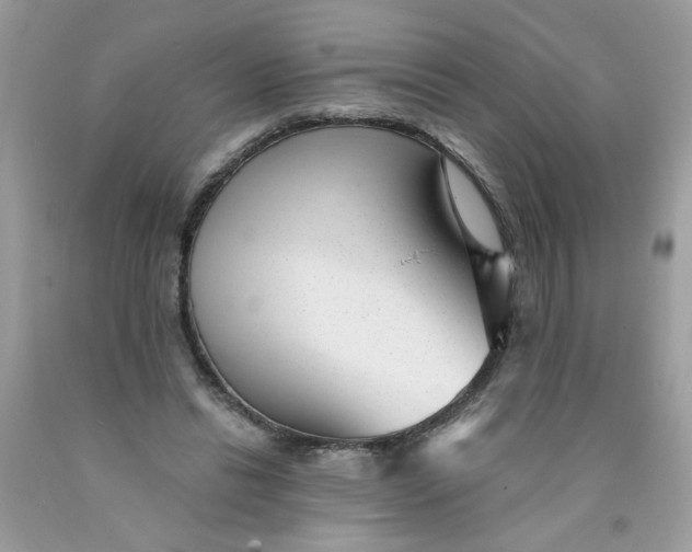 X0000089940446200707201907