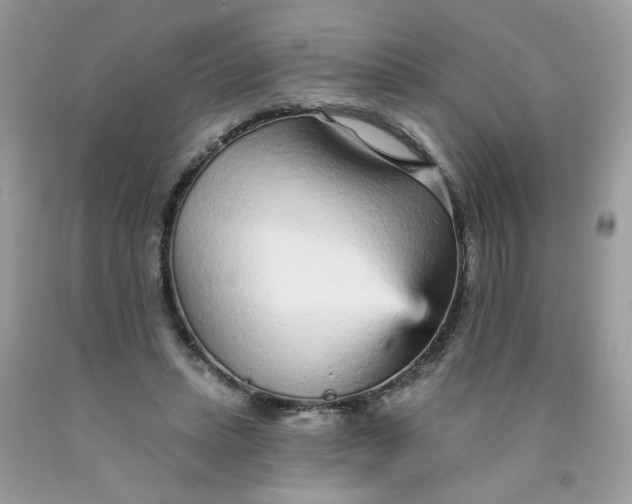 X0000089940447200707201907