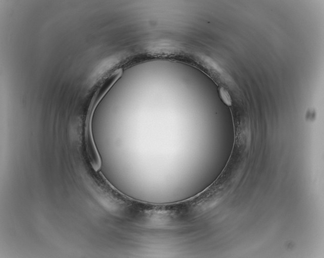 X0000089940448200707201907