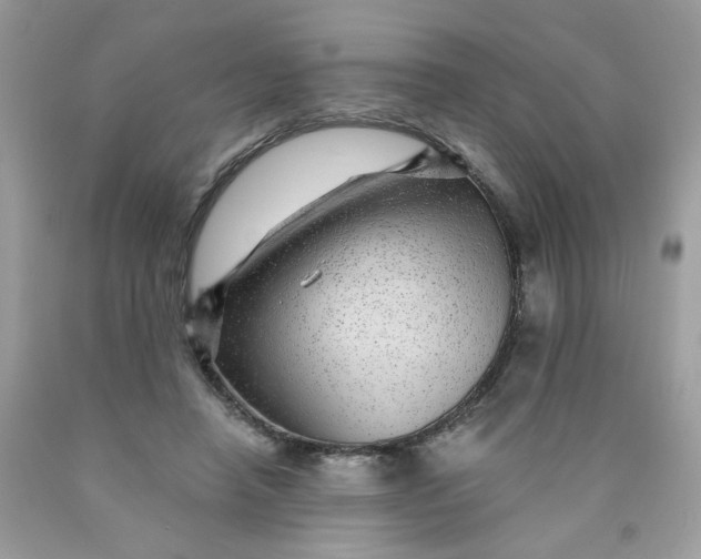 X0000089940450200707201907