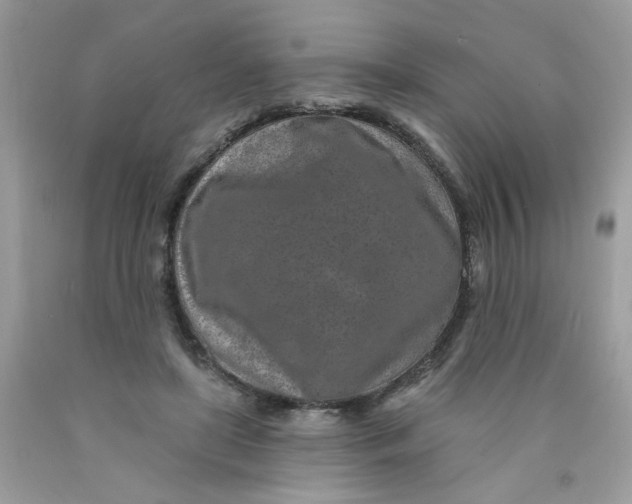 X0000089940451200707201907