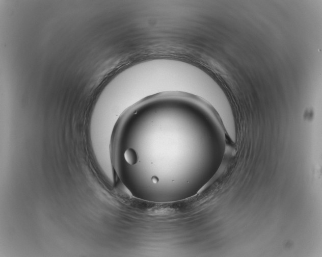 X0000089940452200707201907