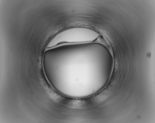 X0000089940453200707201907