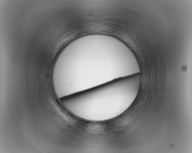 X0000089940454200707201907