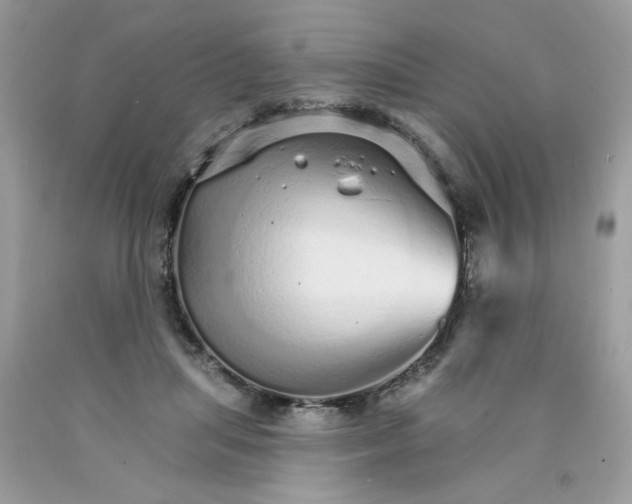 X0000089940455200707201907