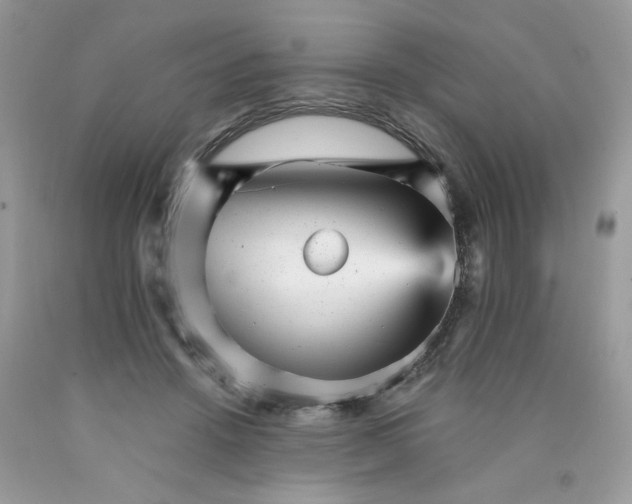 X0000089940456200707201907