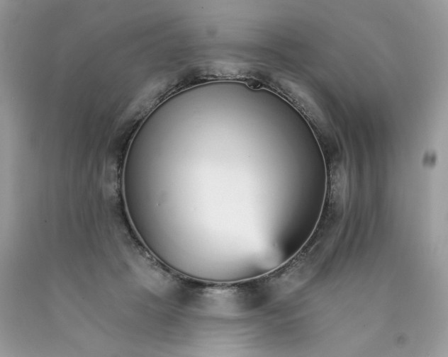 X0000089940457200707201907