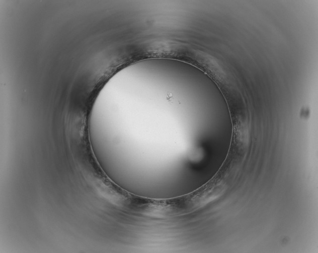 X0000089940458200707201907