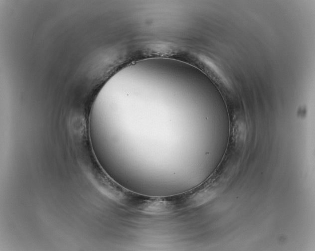 X0000089940459200707201907