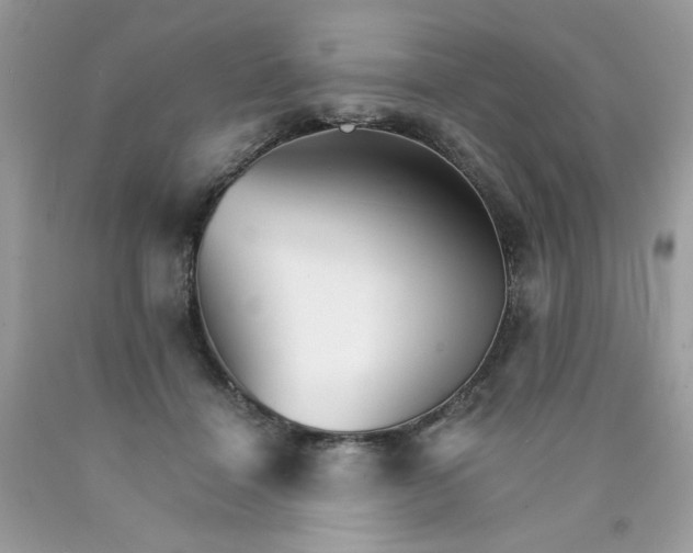 X0000089940460200707201907