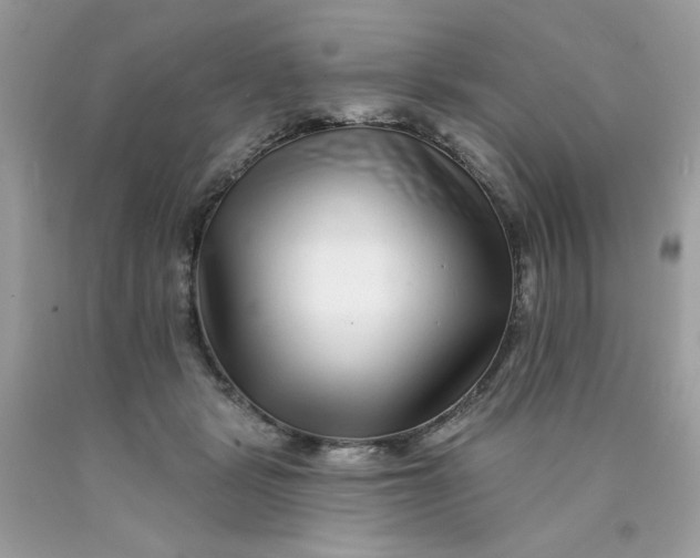 X0000089940461200707201907