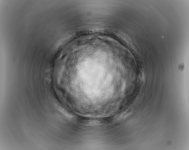 X0000089940462200707201907