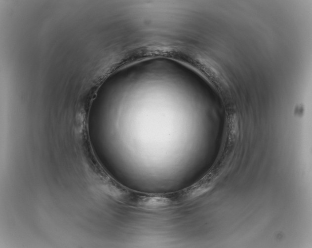 X0000089940463200707201907