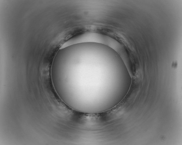 X0000089940466200707201907