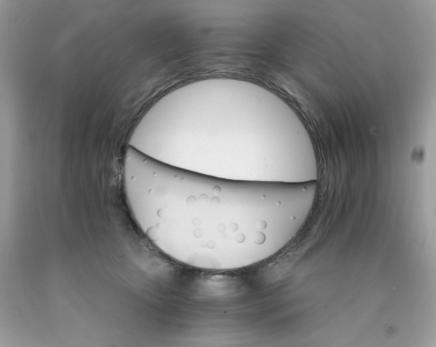 X0000089940467200707201907