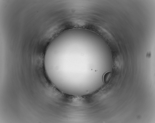 X0000089940468200707201907