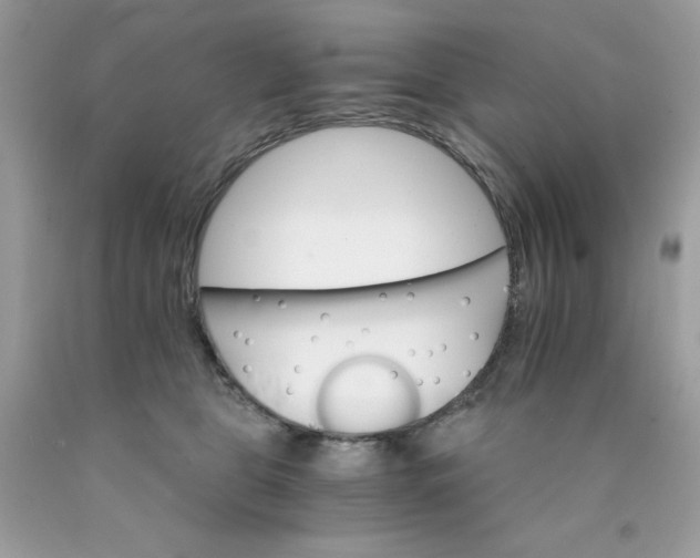 X0000089940469200707201907