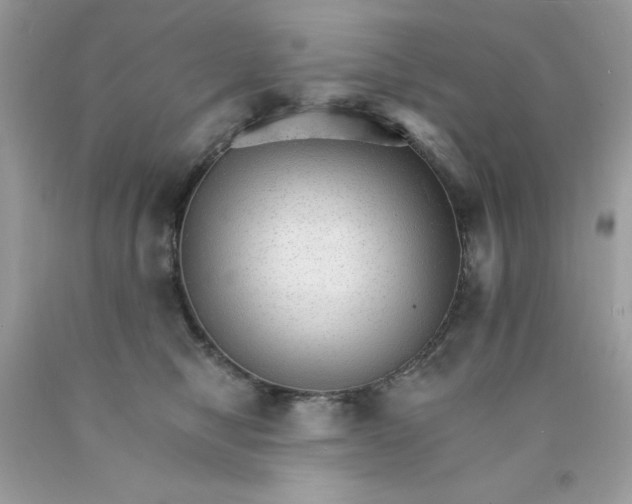 X0000089940470200707201907