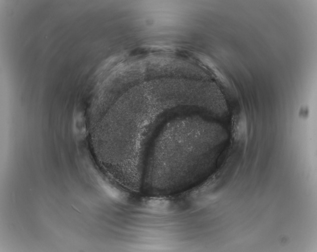 X0000089940471200707201907