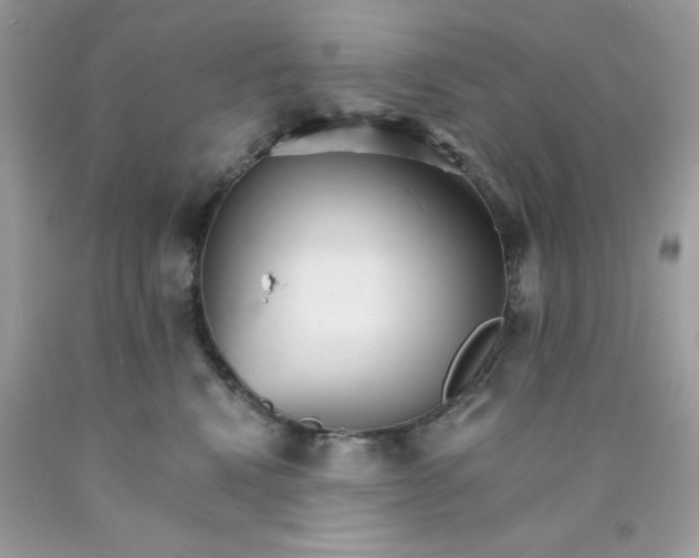 X0000089940472200707201907