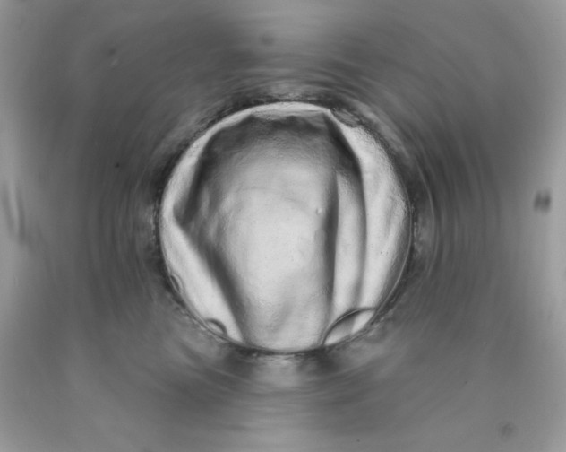 X0000089940473200707201907