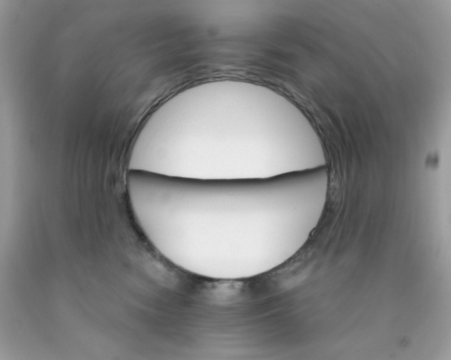 X0000089940474200707201907