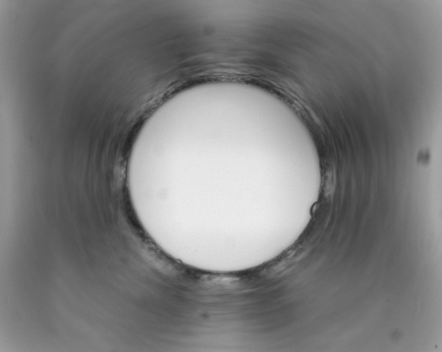 X0000089940476200707201907