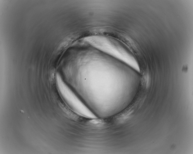 X0000089940477200707201907