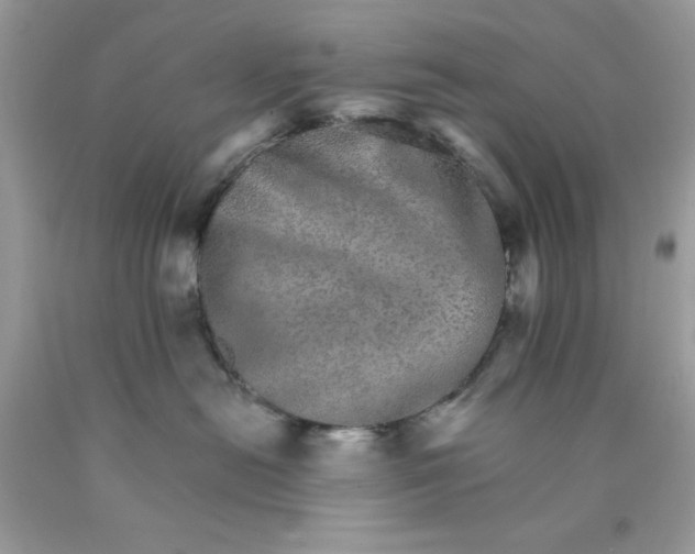 X0000089940478200707201907