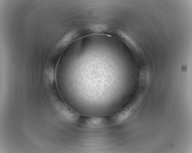 X0000089940479200707201907