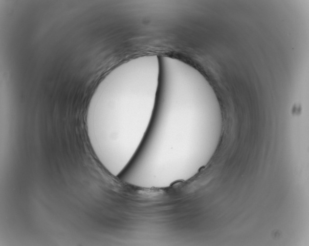 X0000089940480200707201907