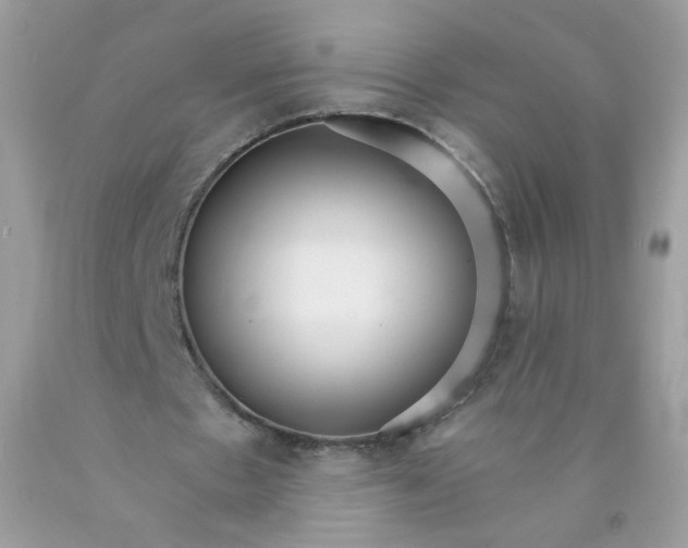 X0000089940481200707201907