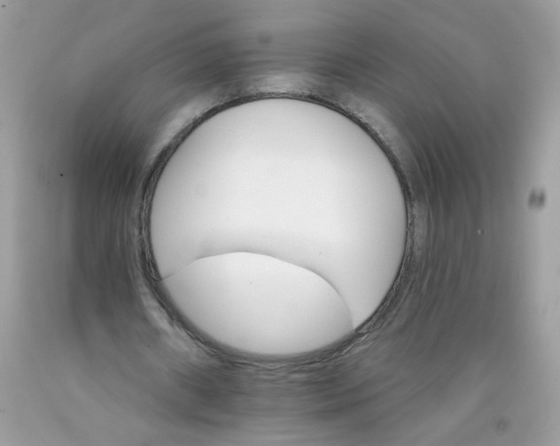 X0000089940482200707201906